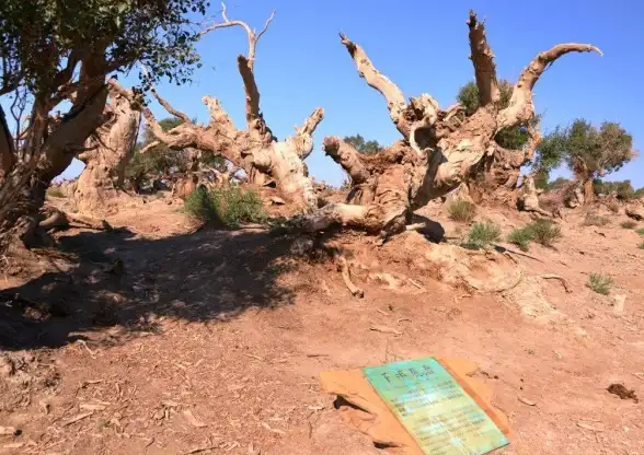 移动办公📧高效：139手机邮箱助你随时随地畅享便捷邮件体验