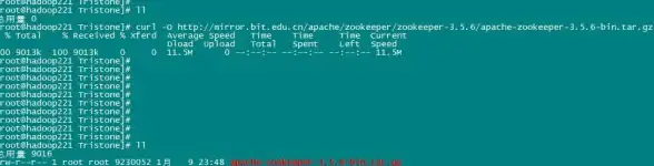 测评lisahost洛杉矶VPS的双ISP住宅属性IP AS9929性能评测