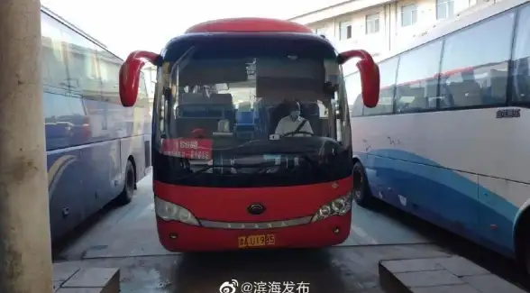 vultr巴西圣保罗云服务器优化实战评测报告
