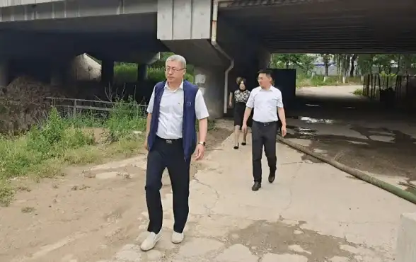 游戏攻略🔥神仙道坐骑大揭秘更换费用详解