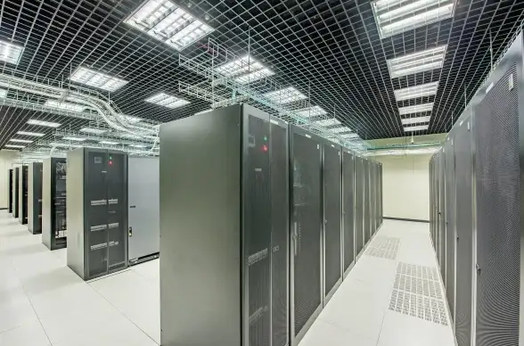 斗地主 斗地主单机版免费体验，实用秘籍助你成为牌桌赢家