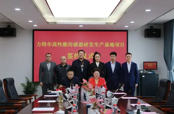 跨境网络,高速传输-CN2专线优化跨国数据传输体验