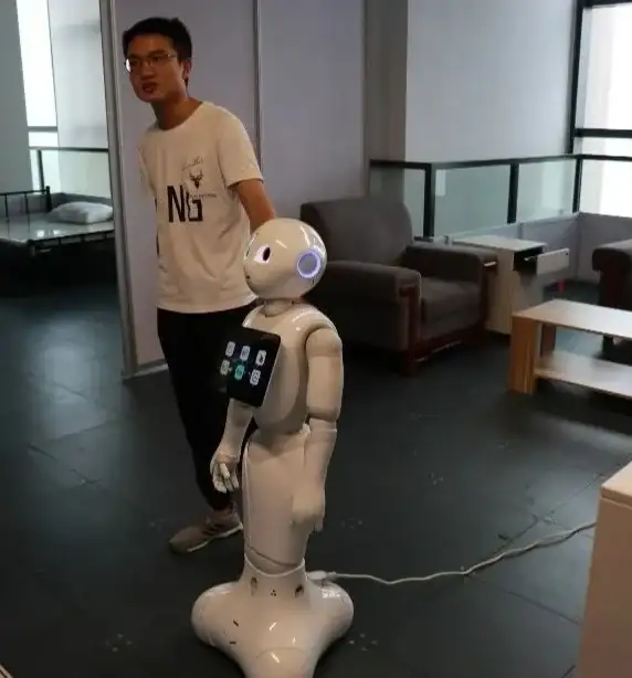 养殖技巧🐜黑蚁帝国深度解析｜小小蚁国猛蚁培养全优势揭秘