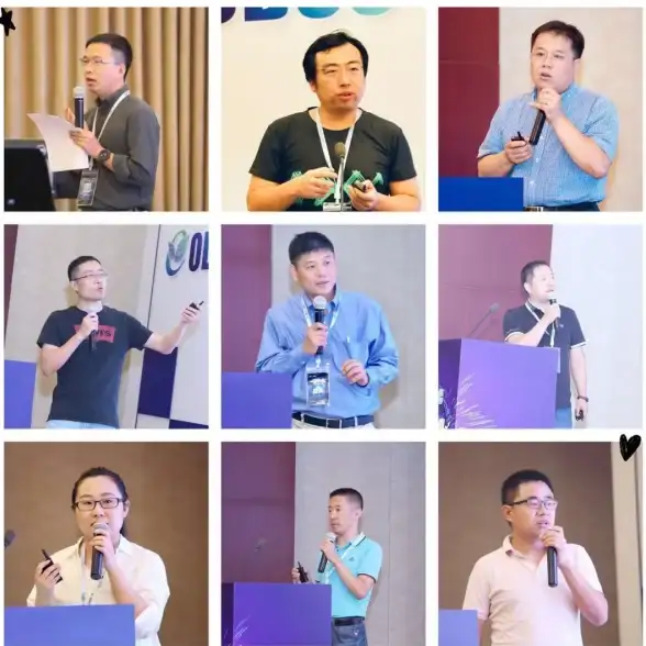 【主流兼容】白银之手服务器全平台适用优势揭秘｜选购指南—全面解析虚拟化兼容性神算助手