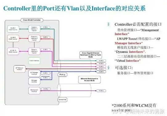 游戏技巧🔥暴击闪避📊概率揭秘 想不想修真中暴击与闪避的关系探讨