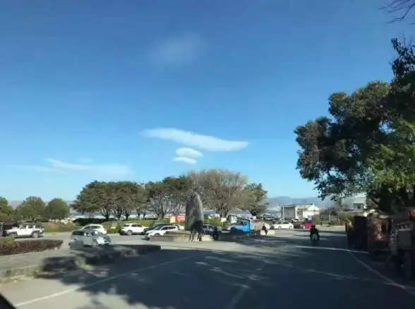 攻略秘籍🔥剑网3无界高效搬砖全解析与技巧分享