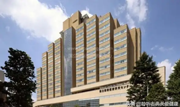 热门游戏✦年度精选✦畅爽体验 2025人气战斗游戏合集全攻略&amp;玩法揭秘