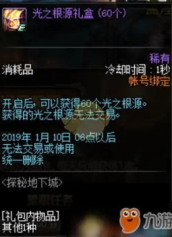服务器租用,站群运维-北京鹏博士站群服务器租用流程详解