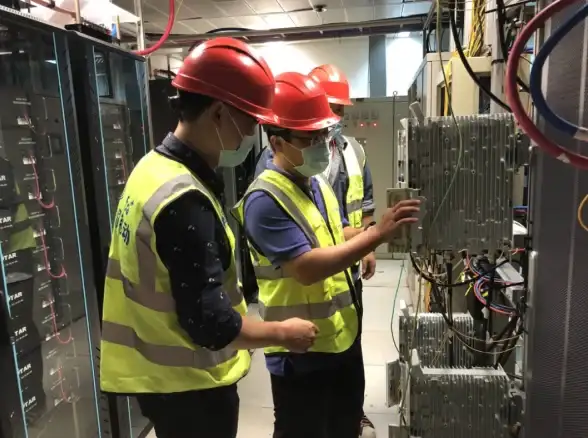 探索乐趣⚡宠物互动⚡模拟人生4猫狗在哪张地图能自由漫游？