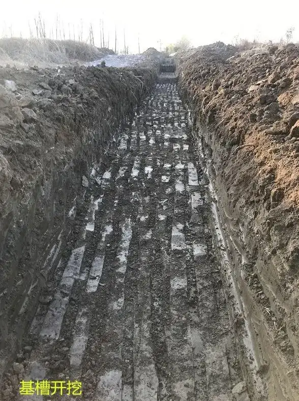 体力•升级•策略 神仙道最佳体力购买时间及最高等级详解