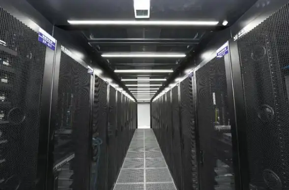 热门⚡技巧⚡攻略 盐和避难所长枪流最强打法与技能升级秘籍