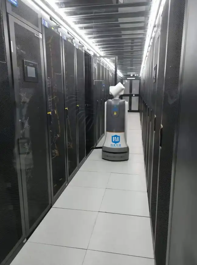 行业深读 玩转Domino名称查找：云服务器应用高效技巧大公开 实用指南☆