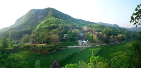✦必看攻略✦顶级秘境✦合欢派花月夜灵体最佳狩猎点全揭秘！