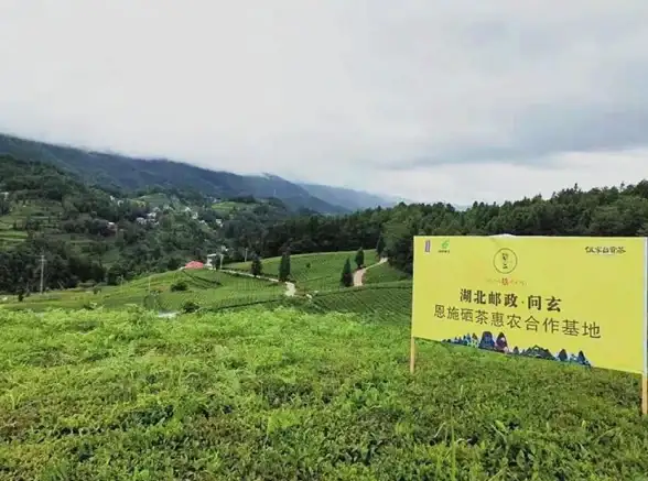 高速专线,稳定云服务,香港CN2云主机，尊享高带宽高速通道体验