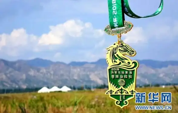 CDN分布,运营商对比-全网覆盖能力分析：酒泉多运营商CDN节点