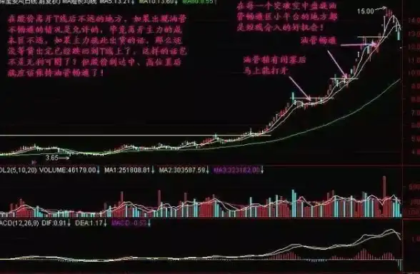 游戏攻略 热门推荐 实用技巧 光遇11.29红石降落点全揭秘＋净化任务详细攻略！