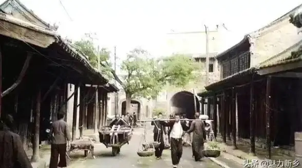 绿色IDC创新前沿｜万网主机代理节能升级揭秘！环保趋势热议】