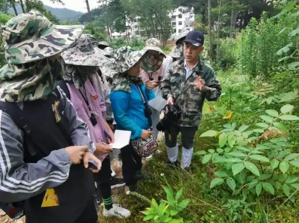 亮点技巧盘点｜权限管控全解析！TFTP服务器文件分配操作秘籍【IT运维精粹】