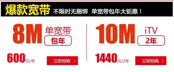 vultr巴西圣保罗(SAO)云服务器性价比深度评测