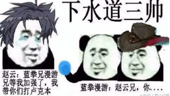 数据中心,业务拓展-鹏博士教育网澄迈数据中心加速业务布局