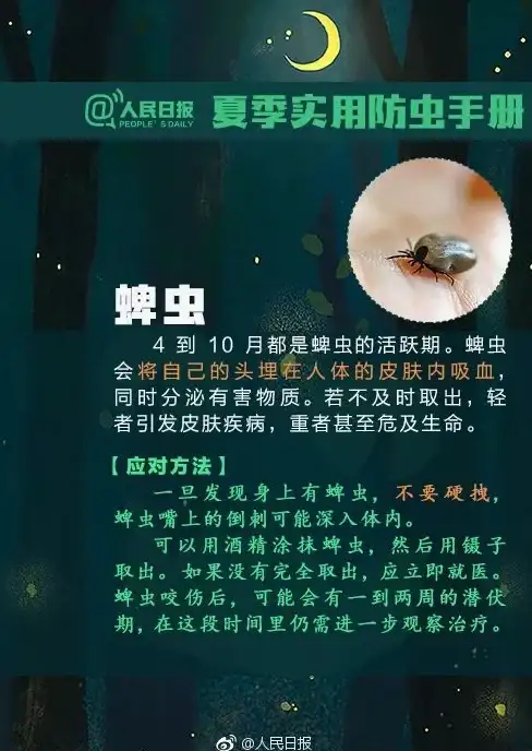 CDN建设,普惠互联网-CDN节点布点对海南城市互联网普惠影响