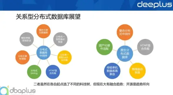 解密｜衅字读音与历史背后的秘密｜语言文化精要‖全面解析，学用指南直击要点