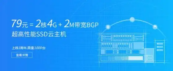 夏季热销限时！大网数据800G高防云服务器68元/月，高配物理机399元/月