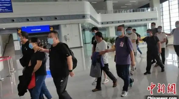 聚焦视觉升级 Discuz手机模板重塑体验新境界 社区论坛优化】
