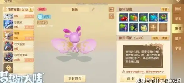 机房带宽,出口网络-联通移动电信CN2日本CDN实际费用分析