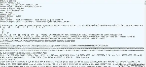 Oracle报错|远程修复 ORA-01076:multiple logons per process not yet supported 故障处理与解决