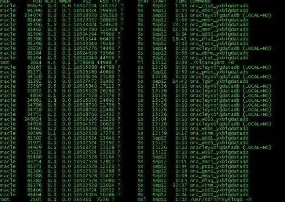 ♦实用技巧♦高效提升♦心态攻略 黄金四目玩法全方位提升策略与心态调整必读