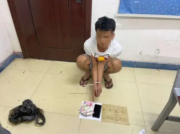 影视爱好者必备｜RMVB格式电影下载全攻略＆播放器安装技巧【观影指南】