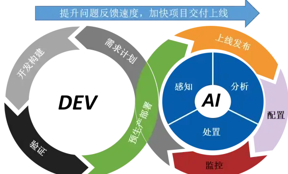 服务器租用,多IP应用-飞网多线路美国站群服务器实用攻略