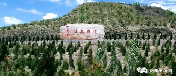运维加速度｜揭秘高效云服务器IIS优化实用技巧｜性能提升速览