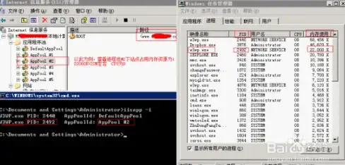 🔥角色解析🔥实战技巧🔥重返未来：1999》2025最强角色全攻略！