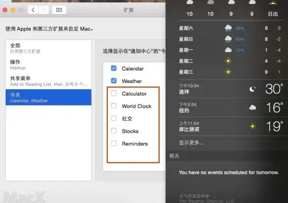 极限挑战🕸纸牌遇上蜘蛛网：智慧与幸运的巅峰对决