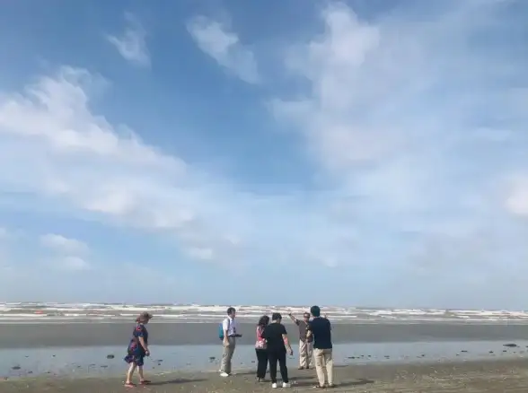 联动编程热潮｜H5小游戏源码全解析—轻松开发变新星！游戏开发·行业必看】