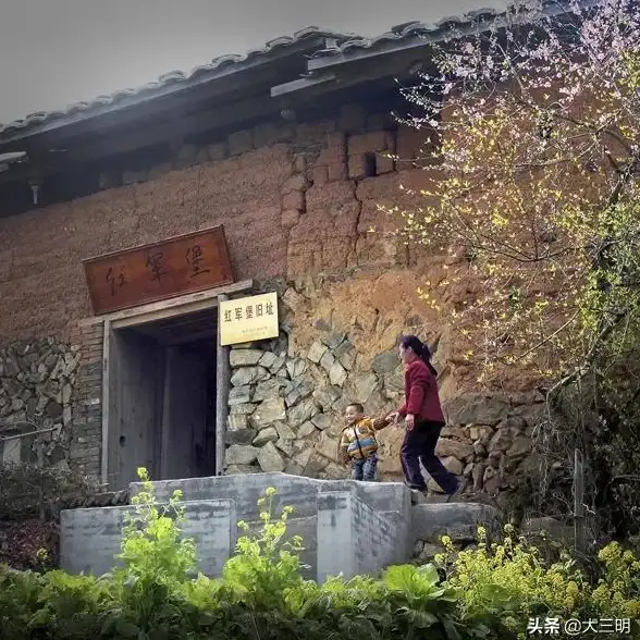 CDN优化,学术资源共享-教育网专属CDN如何优化山东学术资源共享