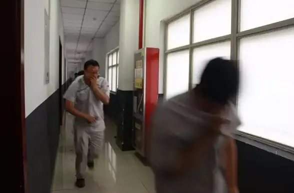弹弹堂小美宠物怎么获得