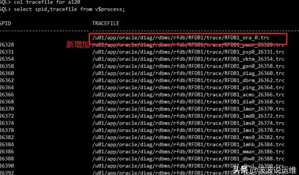 数据库技术 企业应用 Oracle 11g五大独特中心特点解析