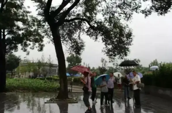 烟雨江湖烟雨庙会特色福利揭秘及高手必备秘籍分享