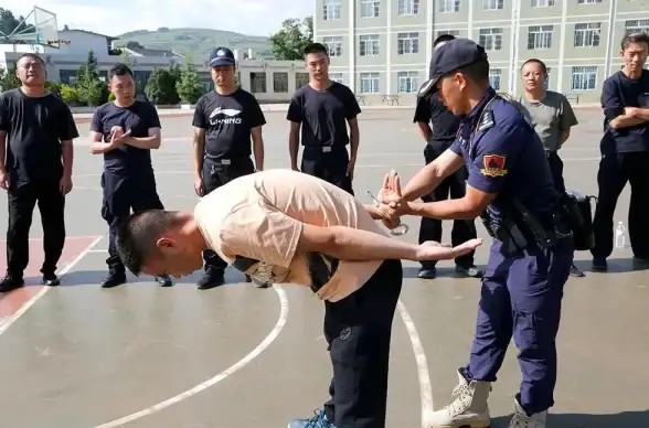 角色养成🔥百日战记最终防卫学园深度攻略与全面评测