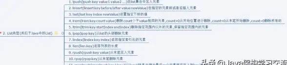云端办公极速进阶｜Freehost北美VPS性能解析—赋能远程协作！云计算创新推荐】