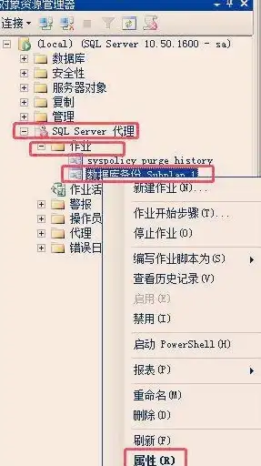数据库管理 存储扩展 据库SQL Server：创造最大容量的数据库，sqlserver最大数