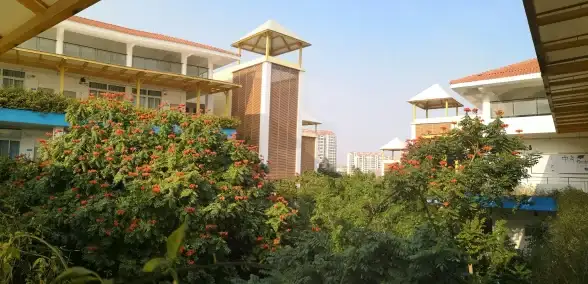 与云端共进｜卓越稳定的厦门虚拟主机—极致服务可靠性数据盘点【主机稳定性】