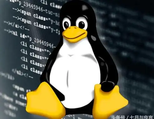 云时代聚焦｜集群服务器革新实录！日本VPS应用新趋势与实操要点【深度解析】