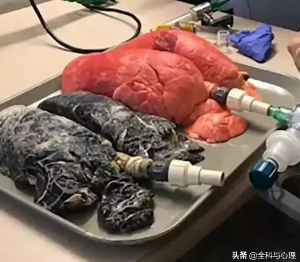 越南双ISP家庭VPS在yin-net的深度使用测评报告