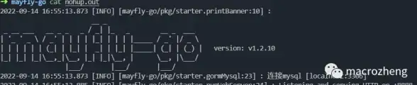Redis安全 访问控制 使用名称和密码保护Redis，设置Redis的名称与密码