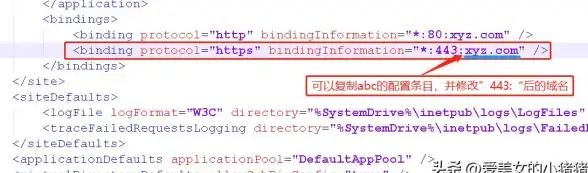 【实用干货】多语言网站✔高效域名绑定方法揭秘｜技术优化方案