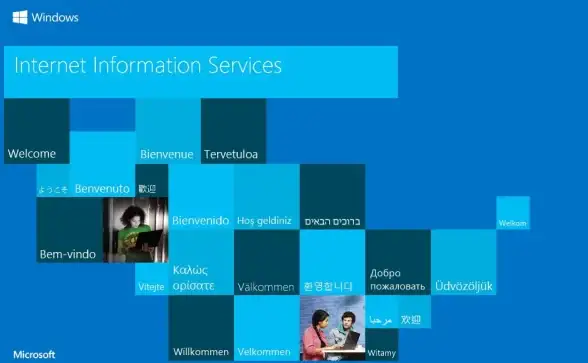 【实用上线攻略】IIS 5.1高效服务器搭建全流程解析—网站管理必备教程